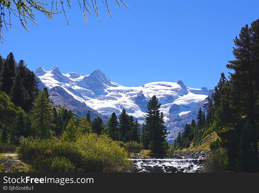 Scenic View of Pine Trees and Mountains Against Clear Blue Sky