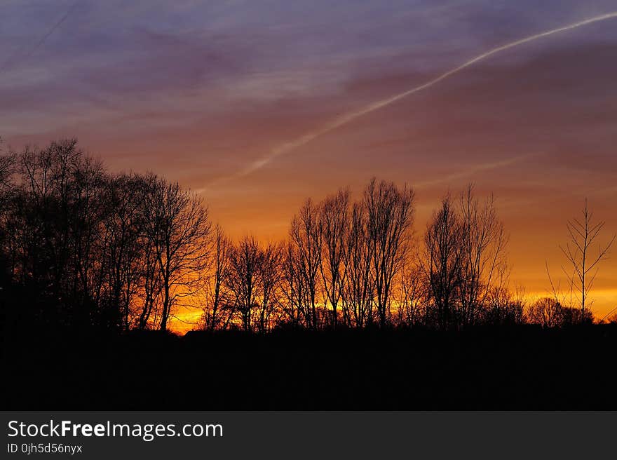 Silhouette of Trees Against Dramatic Sky