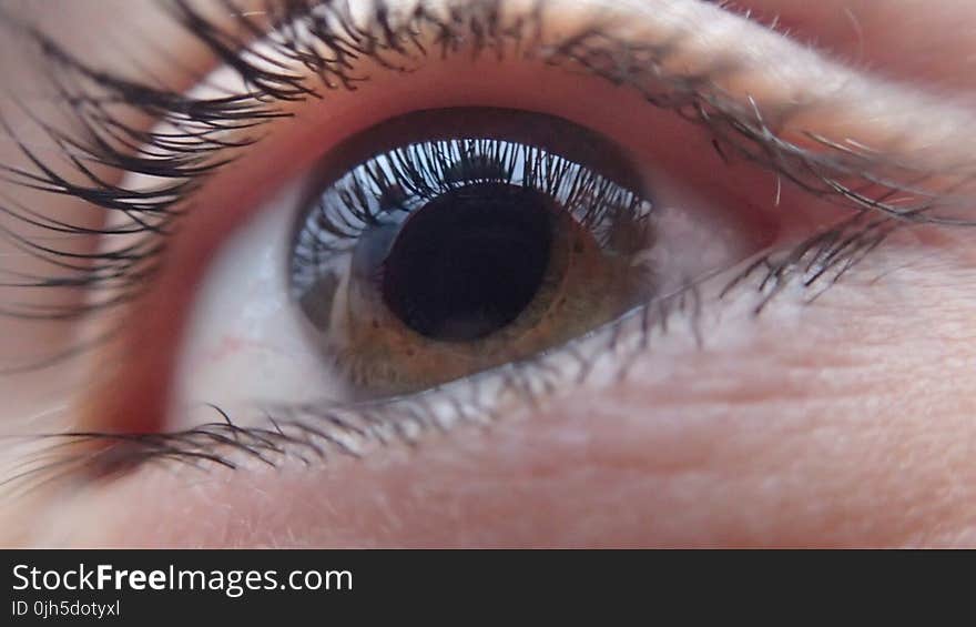 Extreme Close-up of Woman Eye