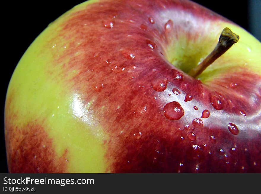 Close-up of Lemon