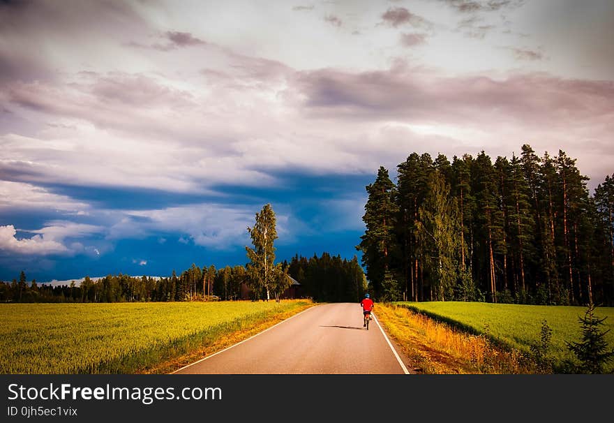 Road Amidst Trees in Forest Against Sky