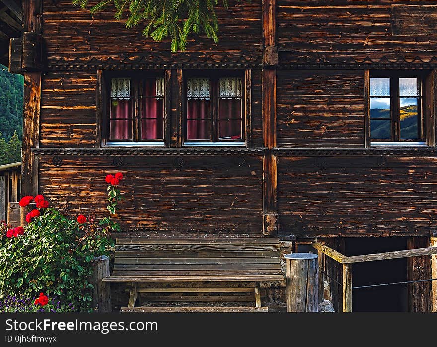 Red Petaled Flower by Porch of Brown Wooden House