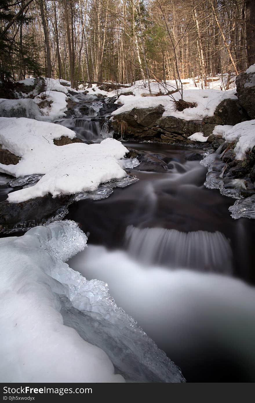 Water Flowing Through Snow Covered Forest