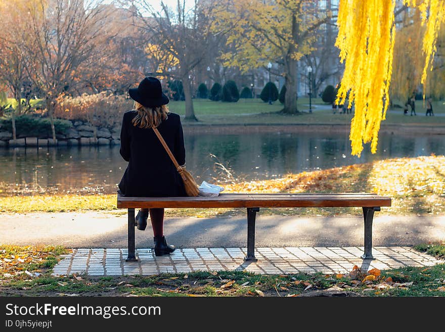 Rear View of Man Sitting on Water