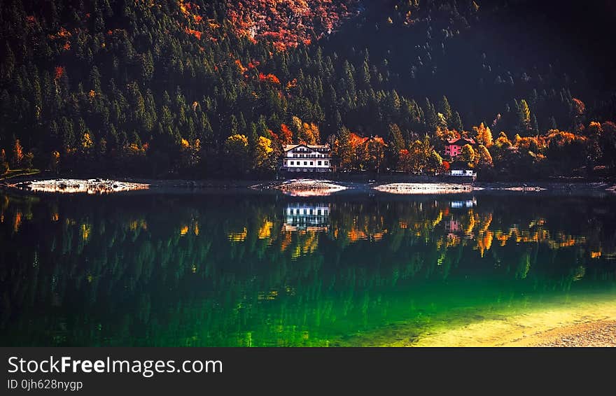 Reflection of Trees in Lake