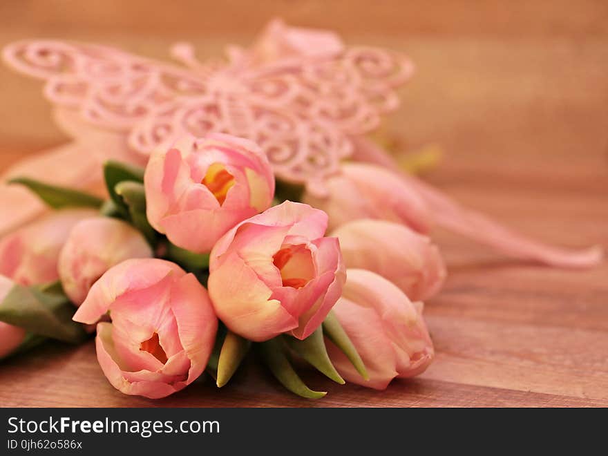 Close-up of Pink Flower Bouquet