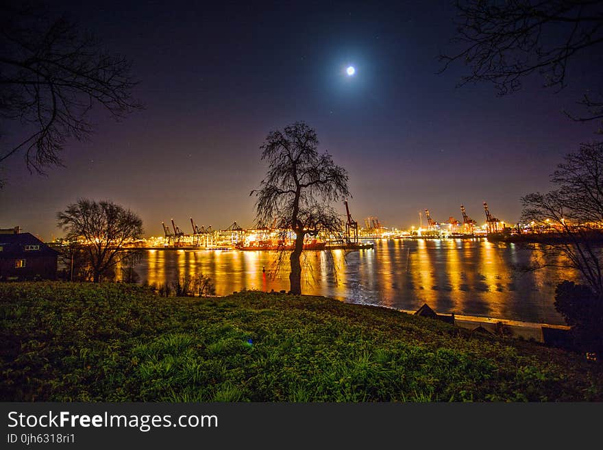 Reflection of Trees in Water at Night