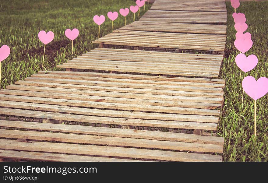 High Angle View of Plants on Wood