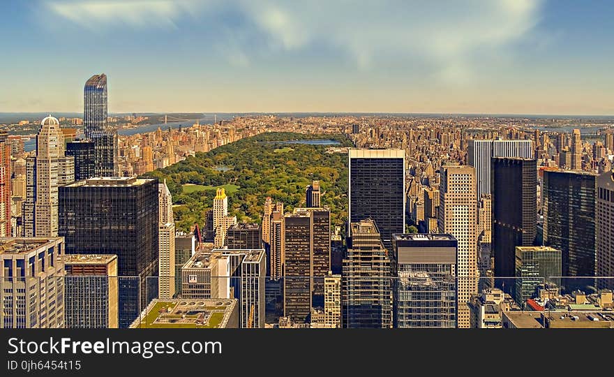 Aerial View of Cityscape