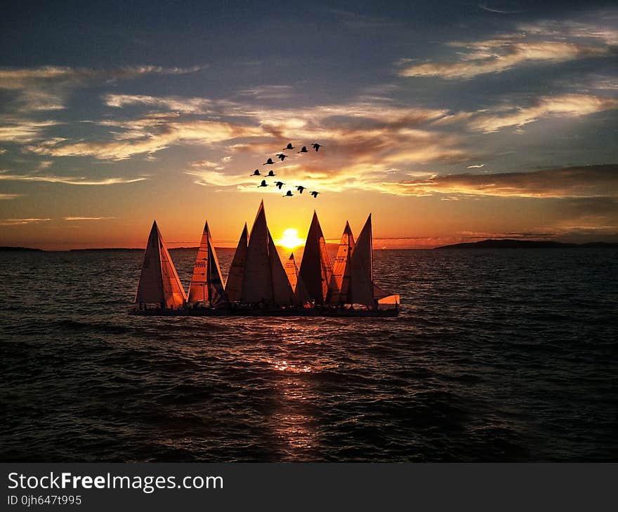 Sailboats Sailing on Sea during Sunset