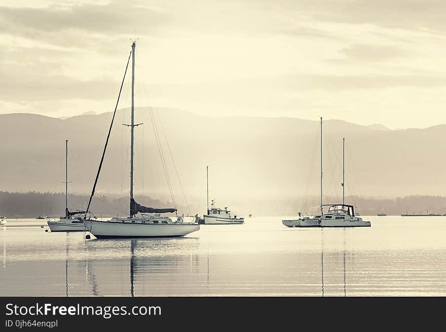 Sailboats Sailing on Sea Against Sky