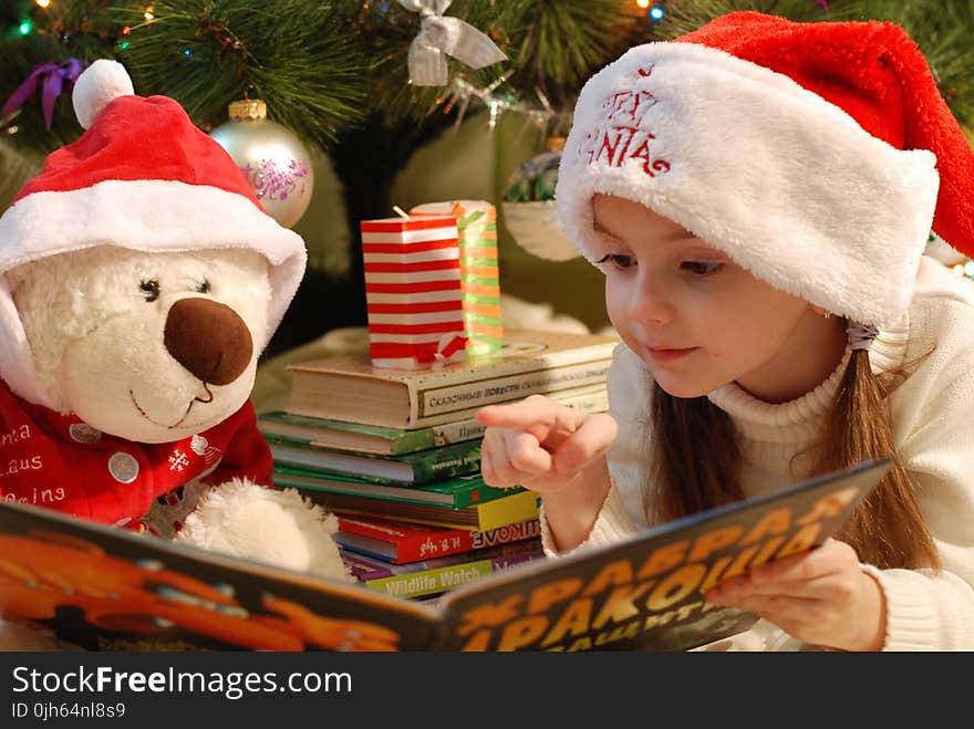 Portrait of Girl Wearing Christmas Hat