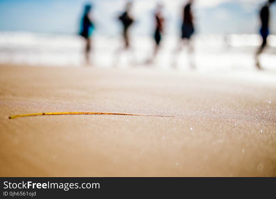 People Standing on Brown San