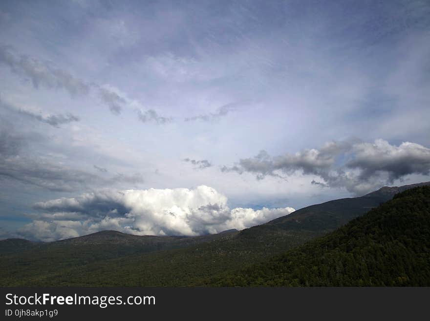 Green Trees on the Mountain during Daytime