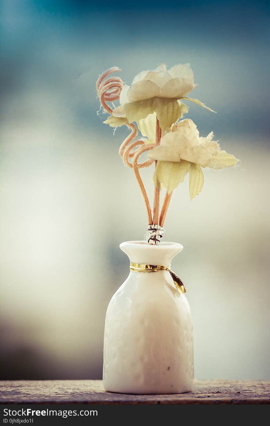 Decor, Decoration, Depth