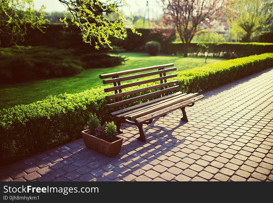 Bench in the garden