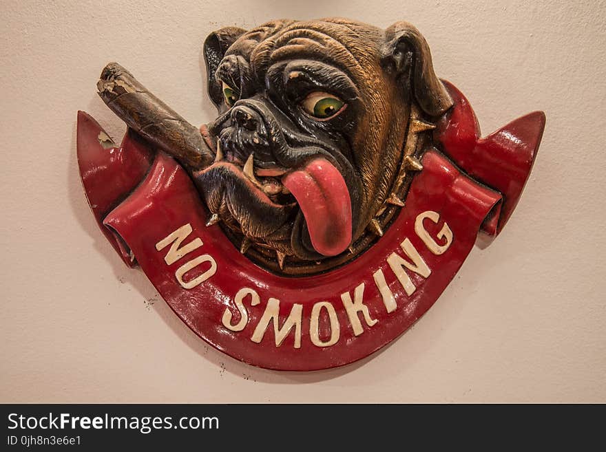 No Smoking Signage Mounted on Wall