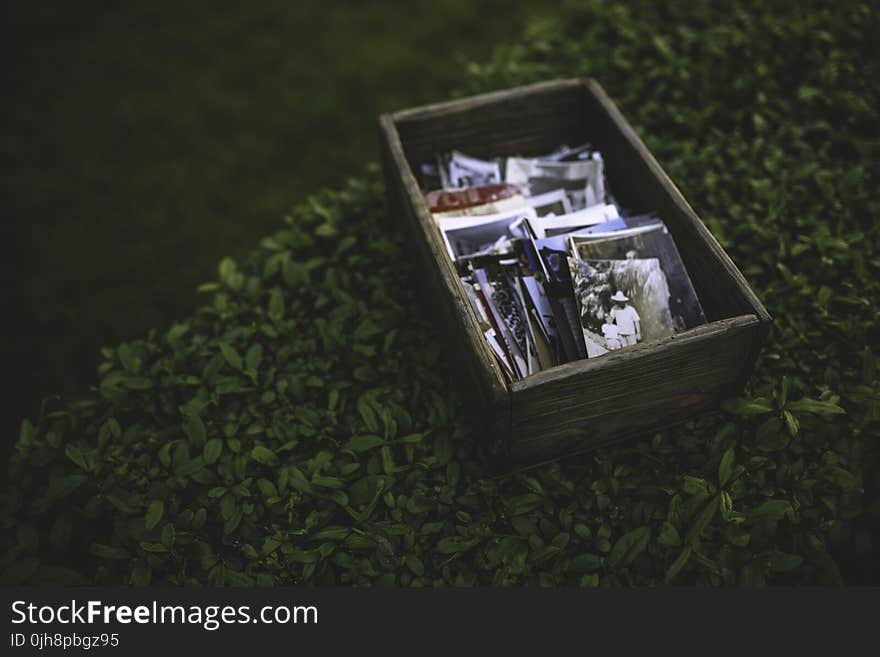 Photos in the wooden box