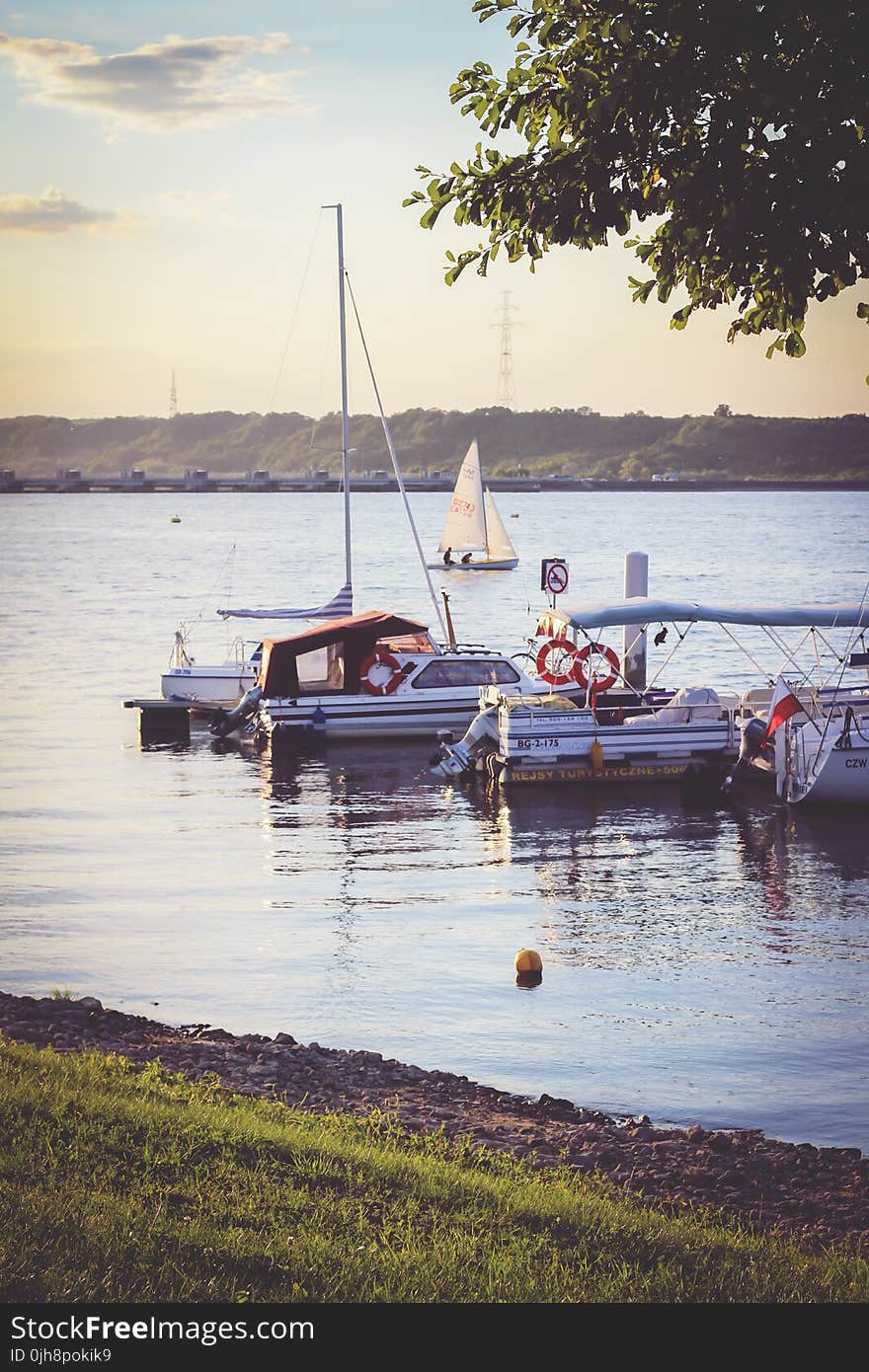 Marina by sunset