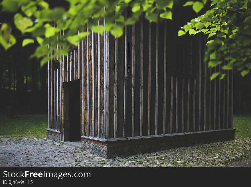 Wooden building