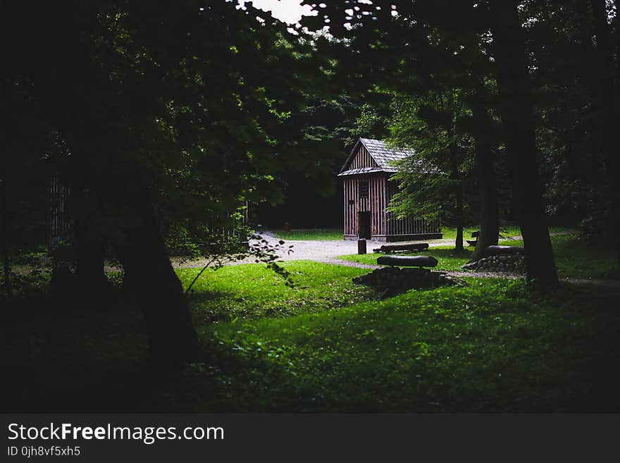 Wooden building in the forest