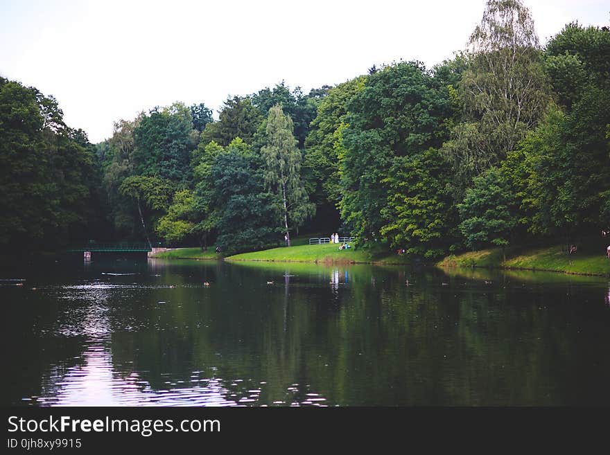 The river in the park