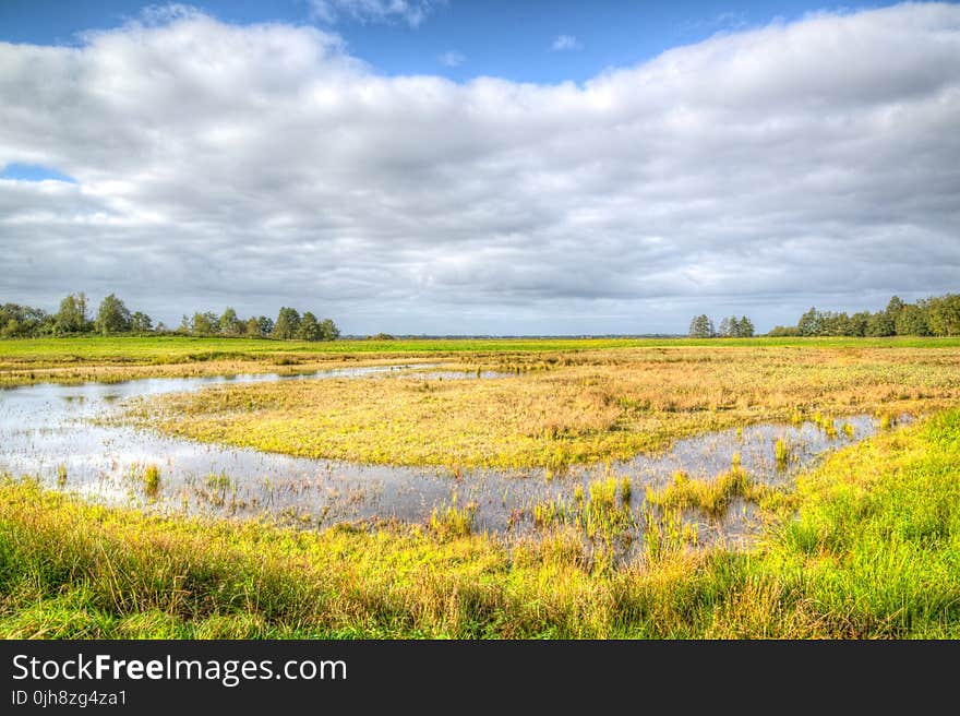 Green Grass Field