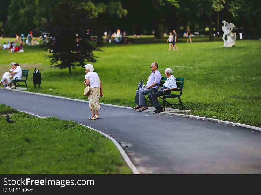 Seniors in the Park