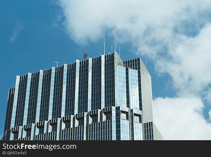 Blue and Gray Curtain Wall Building