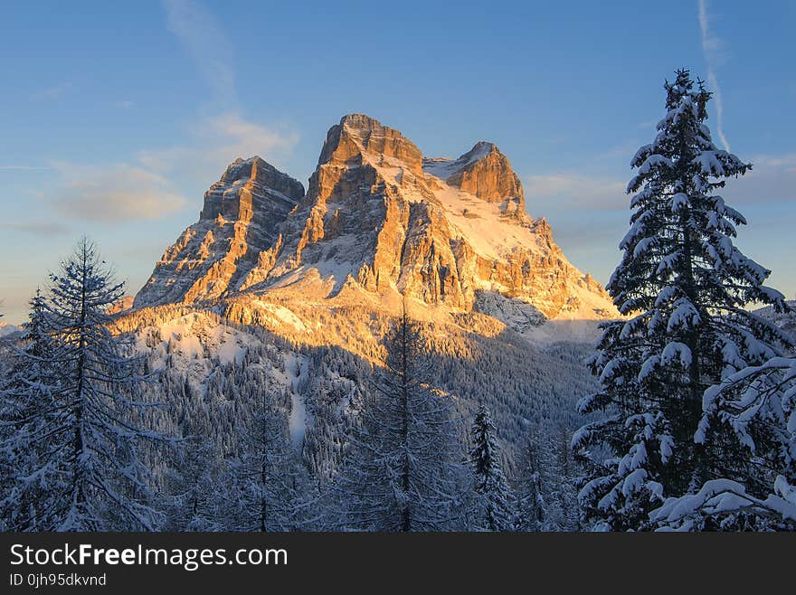 Snow Covered Mountain With Pine Trees