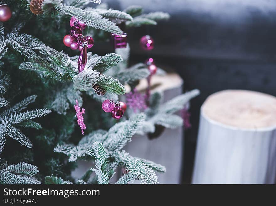 Pink Christmas Tree Decorations