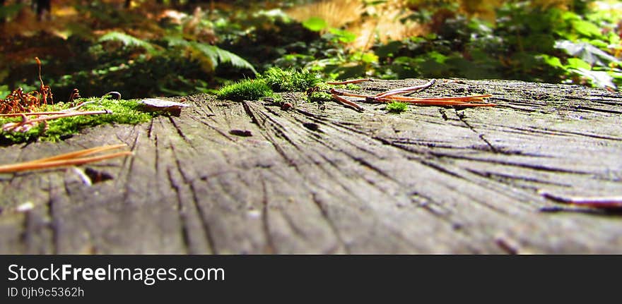 Brown Wooden Surface