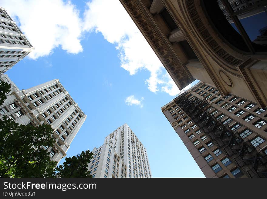 Low-angle View of High-rise Buildings