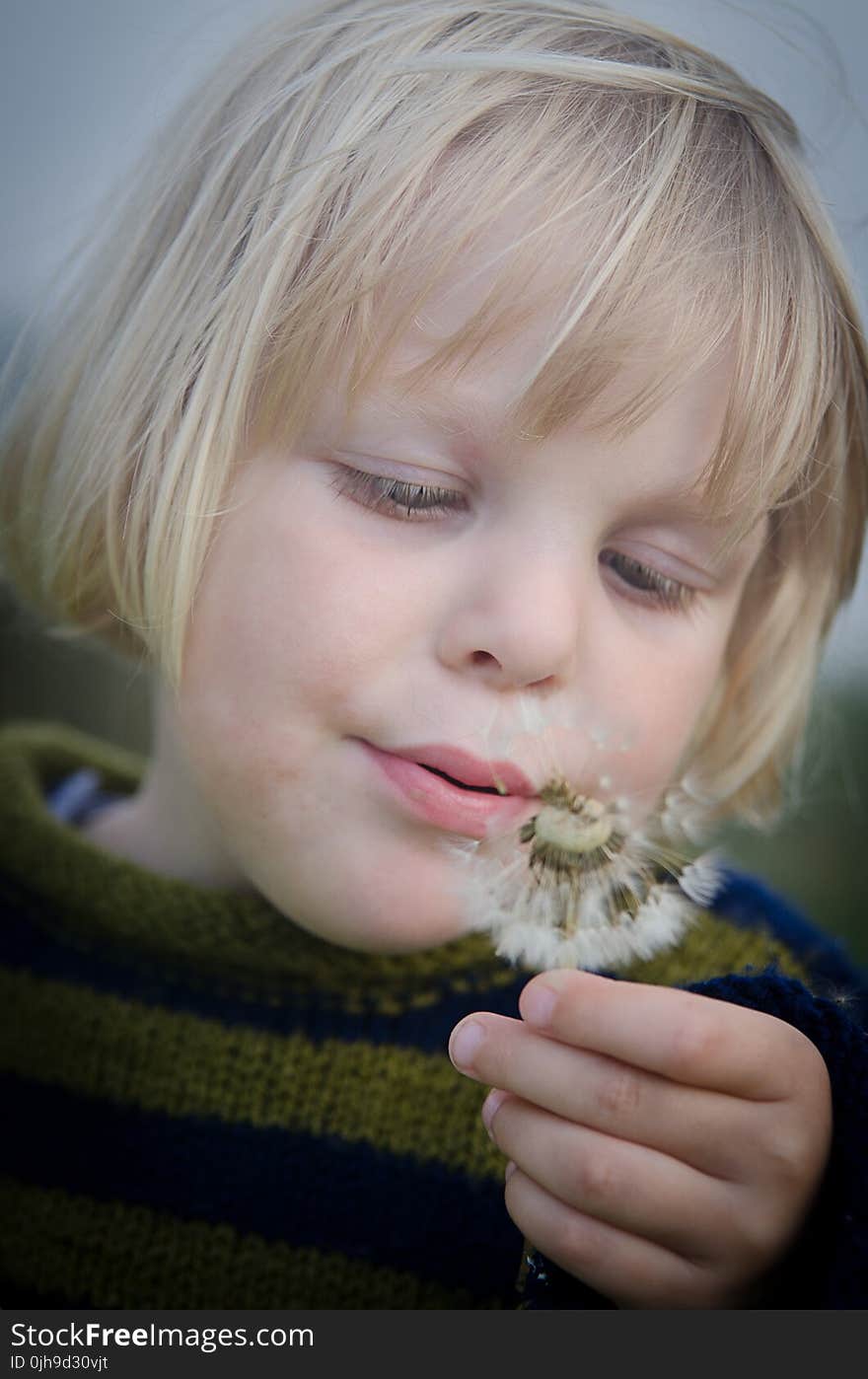 Selective Focus Photography of Girl in Green and Black Striped Sweater Holding and Blowing Dandelion