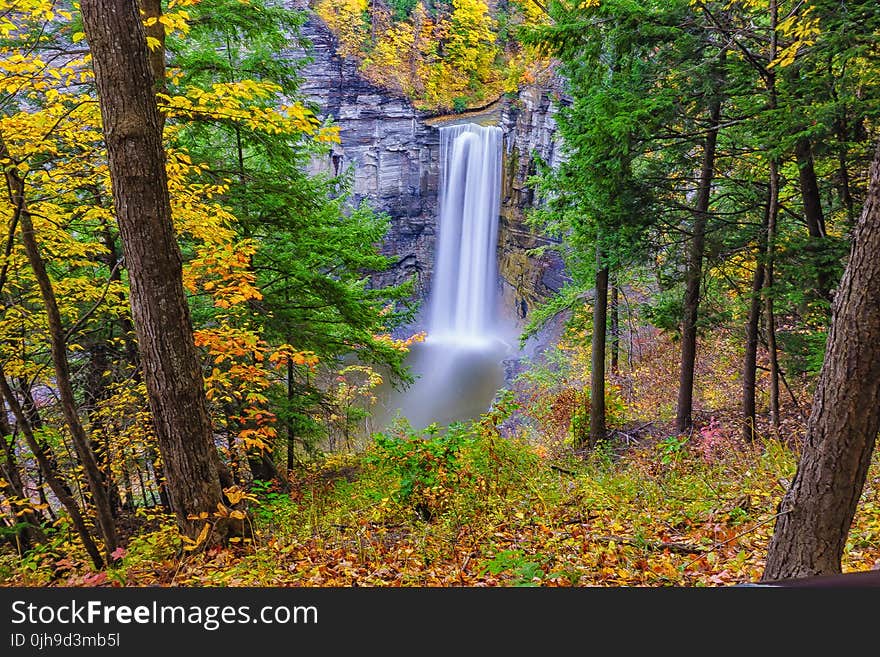 Aerial Shot of Water Fall