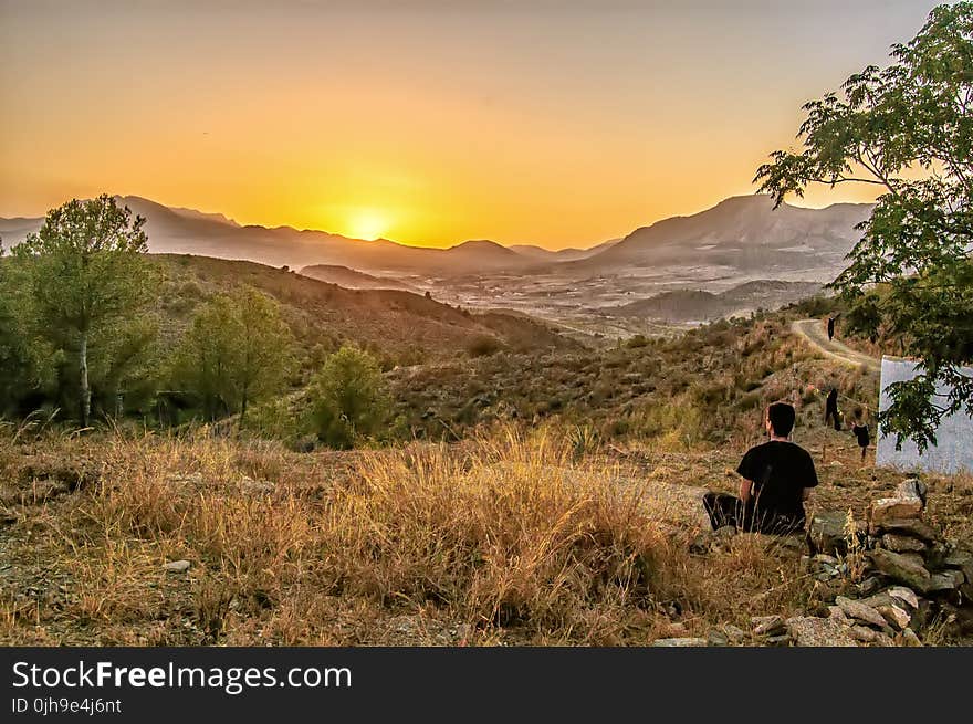 Man Sitting in Stone Near Green Tree