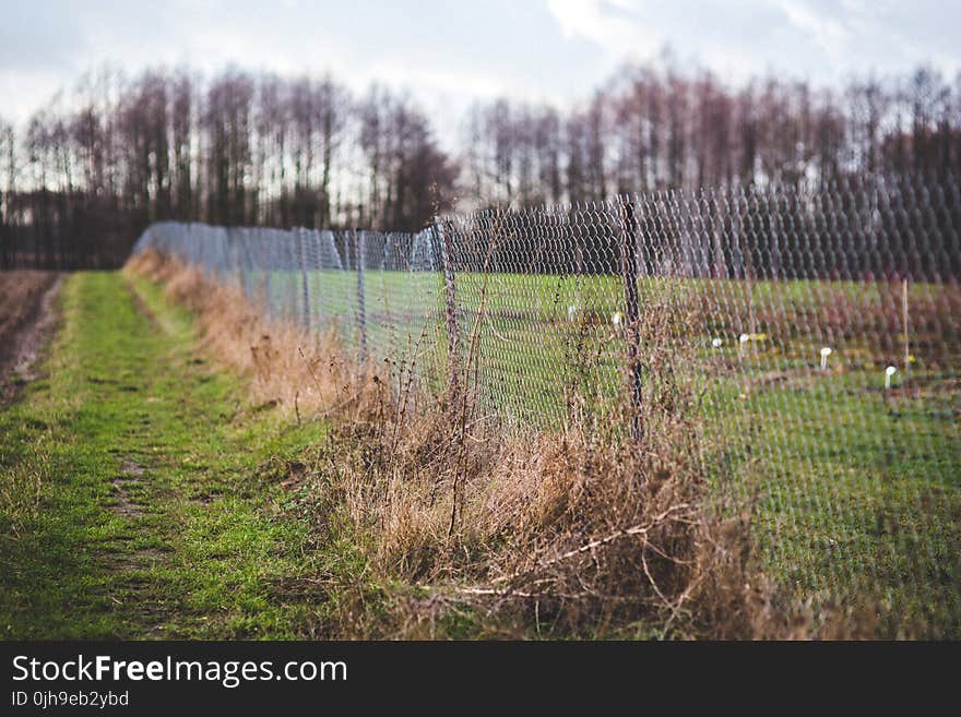 Mesh fence on the nature