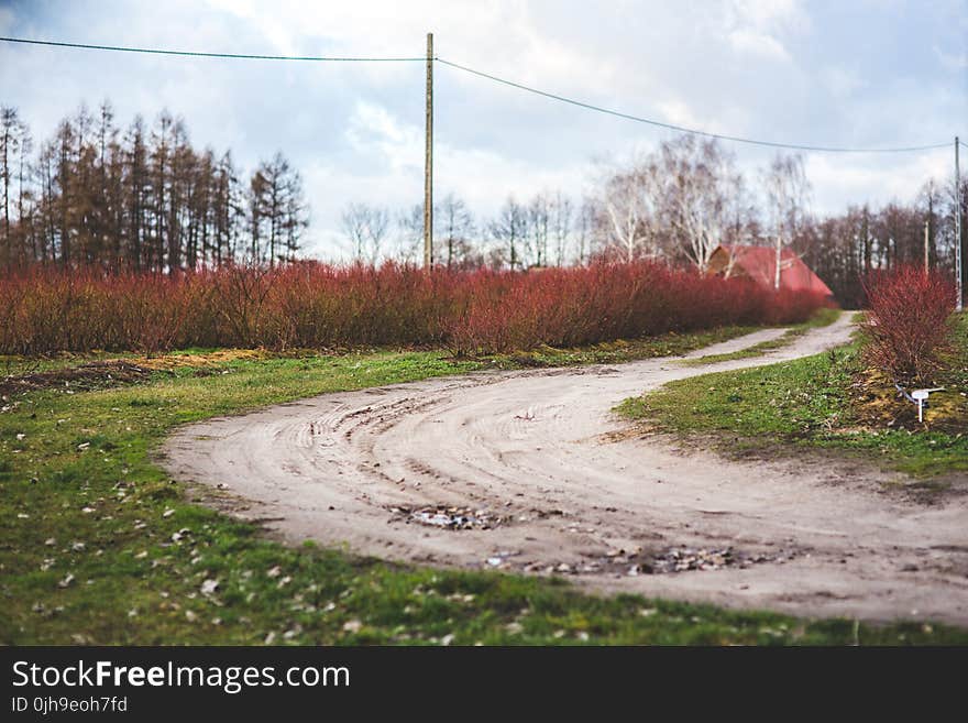 Country road