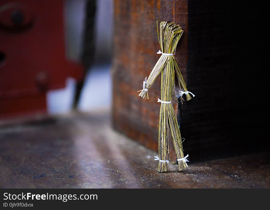 Tilt Shift Lens Photography of Brown Stand Twigs