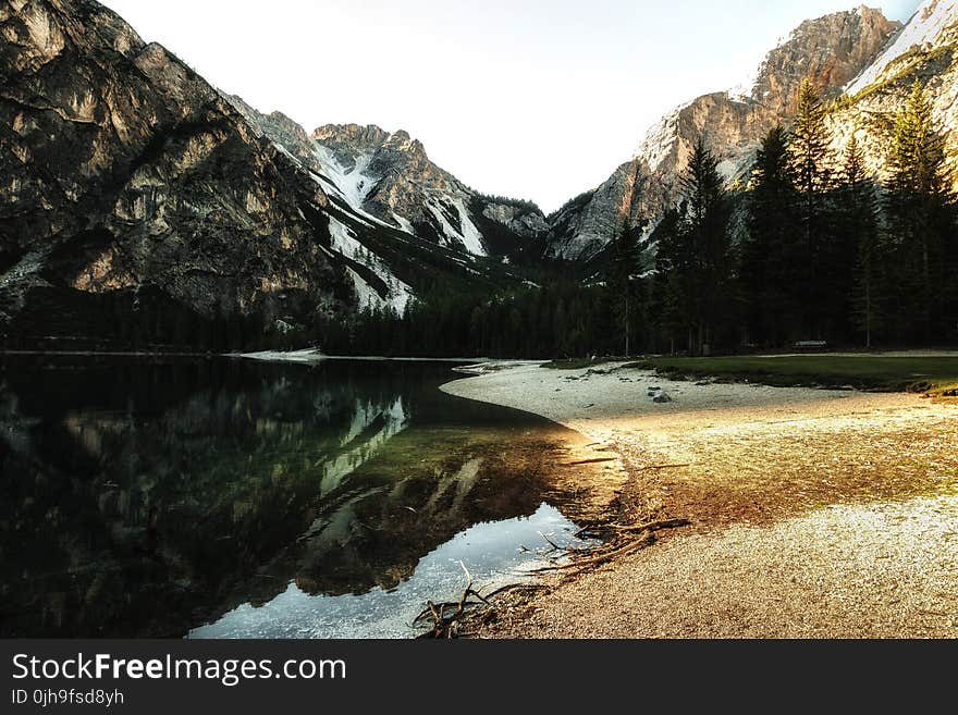 Body of Water Near Trees during Sunset