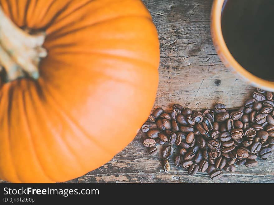 Orange Pumpkin and Coffee Beans