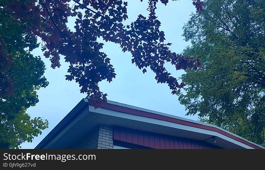 Low-angle Photography of Red and White Concrete House Surrounded of Trees Under White Skies