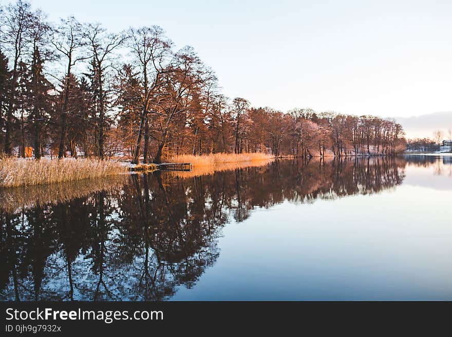 Colorful trees mirroring in the lake