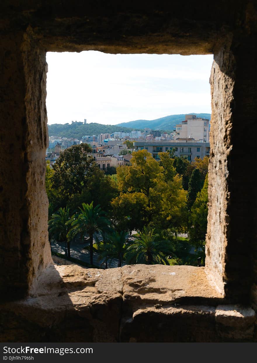 View From Window