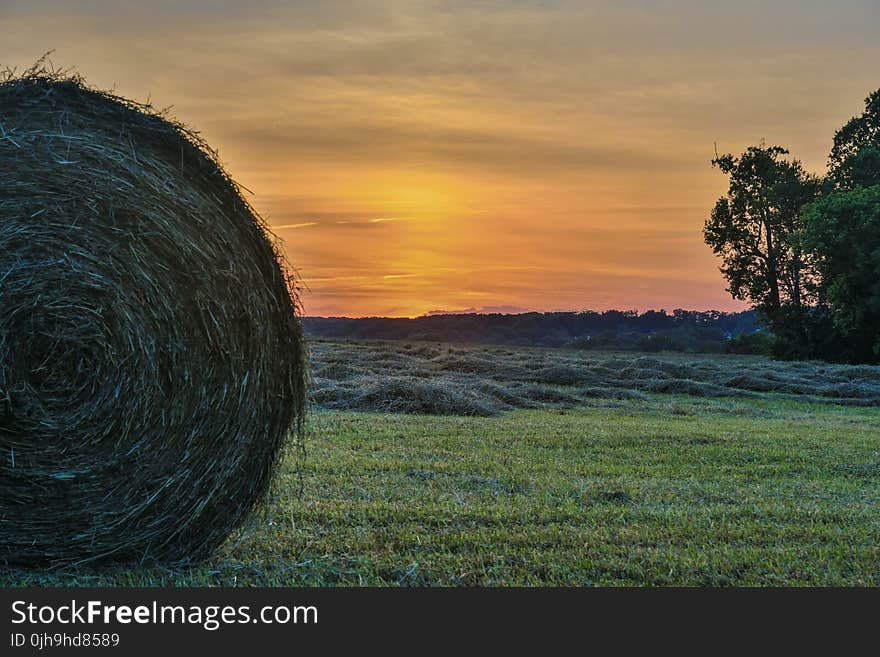 Hayfield During Sunset