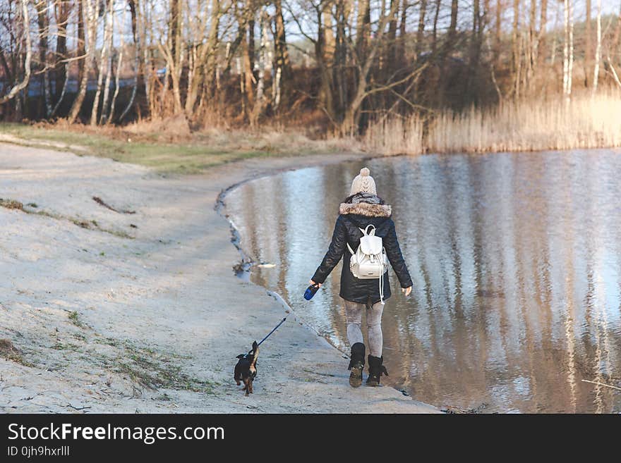 Young woman walking with her dog on the beach