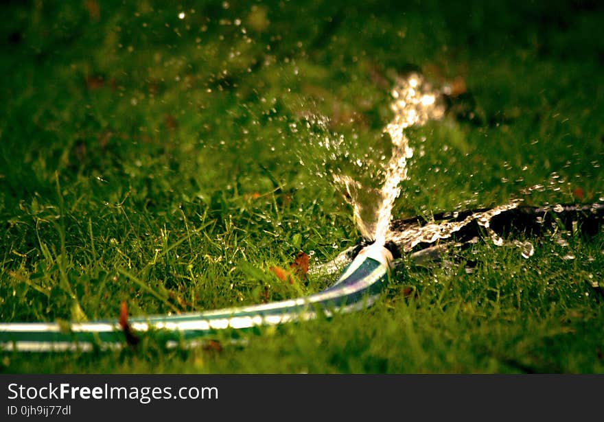 Close-Up Photography of Water Bursting Out of Hose