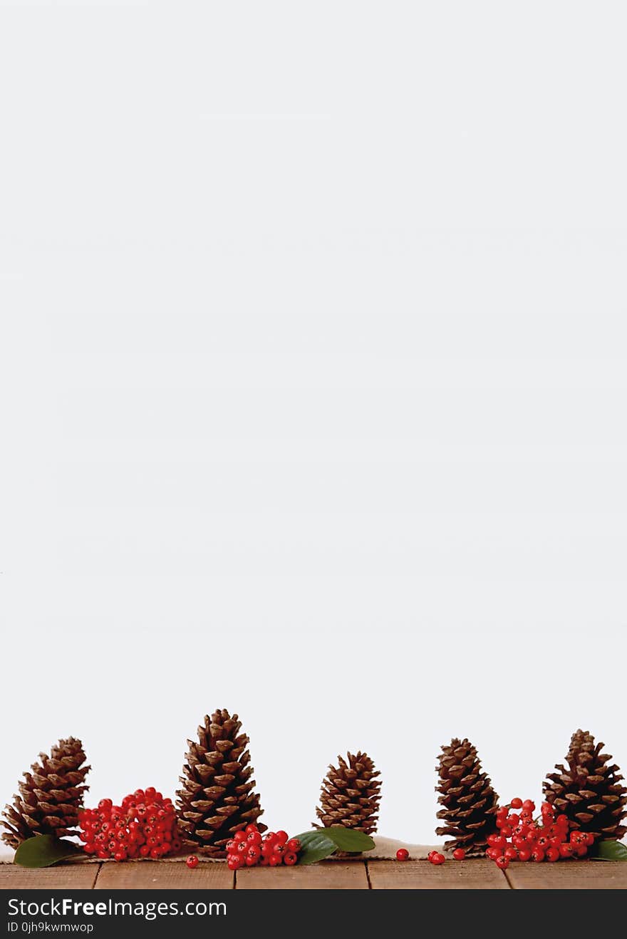 Brown Pine Cone Decors