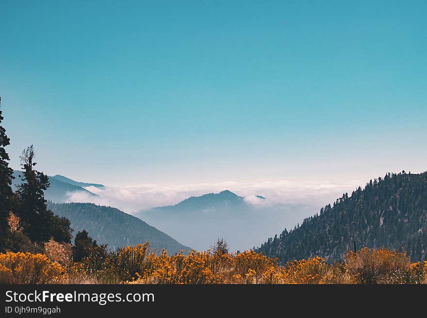 Mountain Covering Clouds