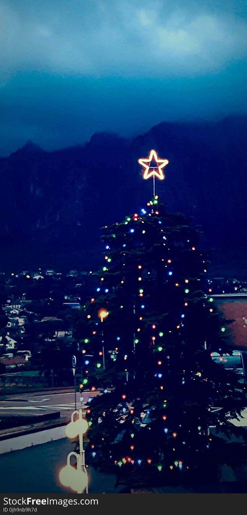 Christmas Tree during Nightime